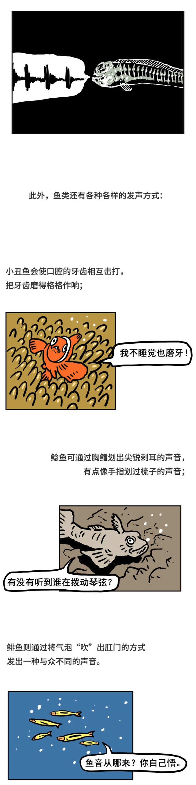 没有声带，鱼是如何“表白”的？