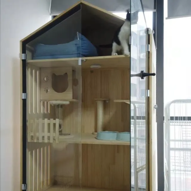养的猫像大爷，是种什么体验？