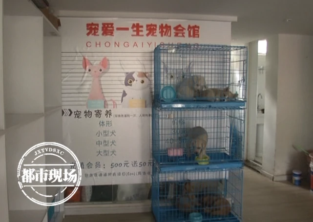 南昌：在闲鱼上买活体宠物，却被带到线下买“病狗”？