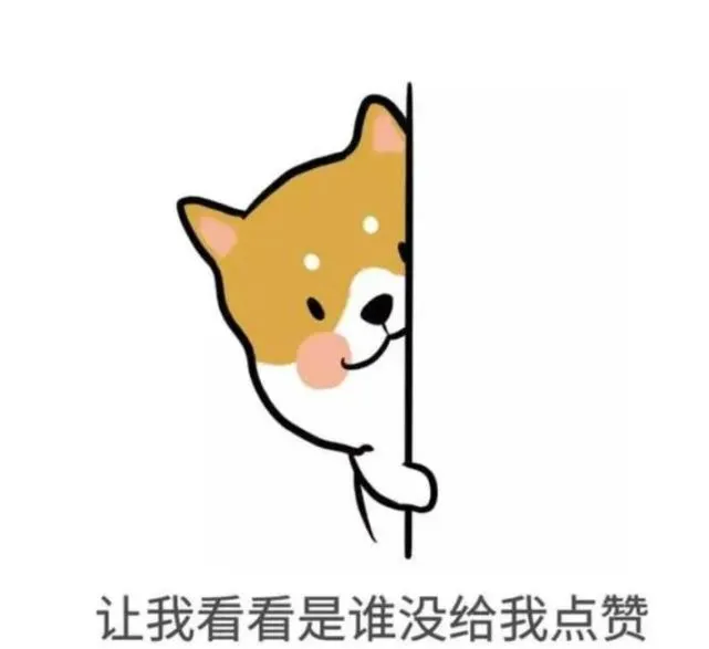 被巴哥骗了这么多年，宠主：只有不懂的人才会说它丑！