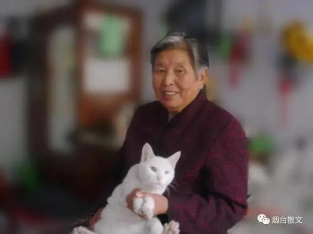 鞠依君｜爱猫之人