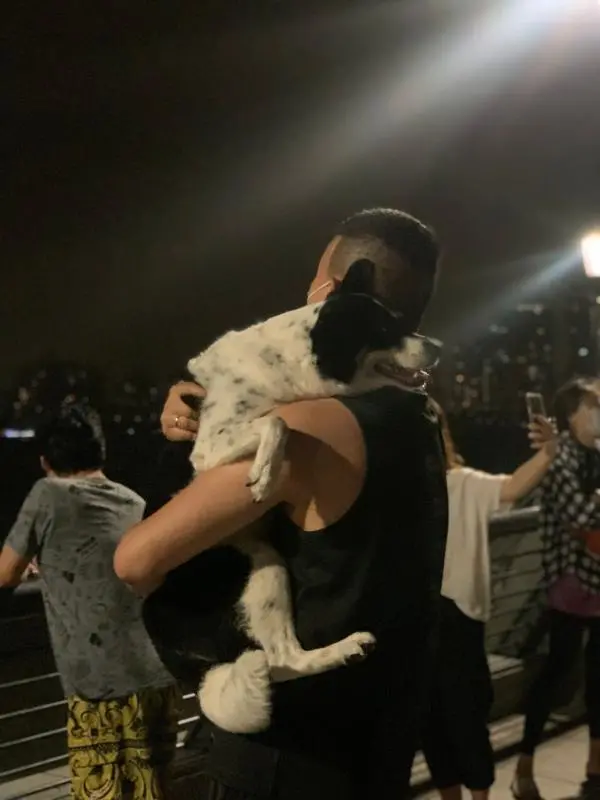 上海这一刻｜凌晨时分，一个男人抱着爱犬在黄浦江畔吹风