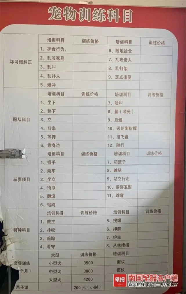 南宁有人花近万元送宠物上学，结果……