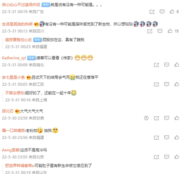 余霜吐露自家猫咪异状：近日突然黏人，粉丝懵了：不会有好事了吧