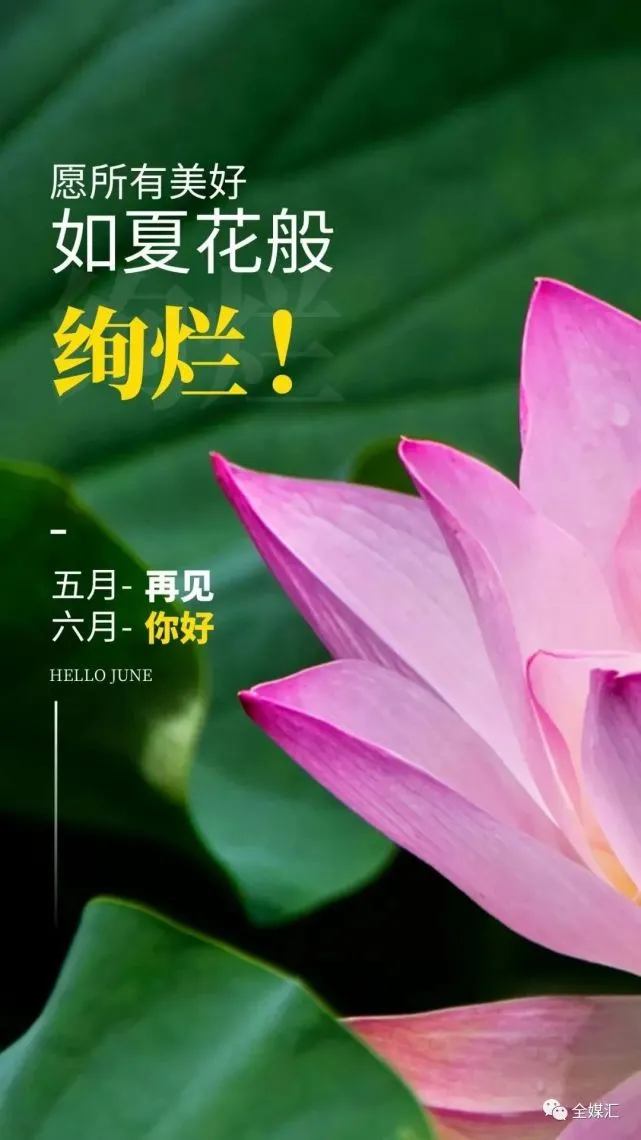 六月你好｜遇到的都是天意，拥有的都是幸运