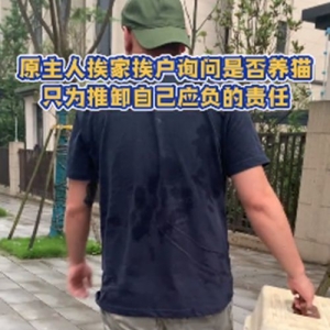 名贵布偶猫在盒子里奄奄一息，白给也没人要：有谁可以救救我吗？