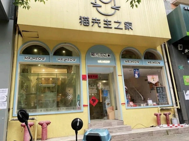 宠物馆老板：封控后我住进了宠物馆，很多人却不理解
