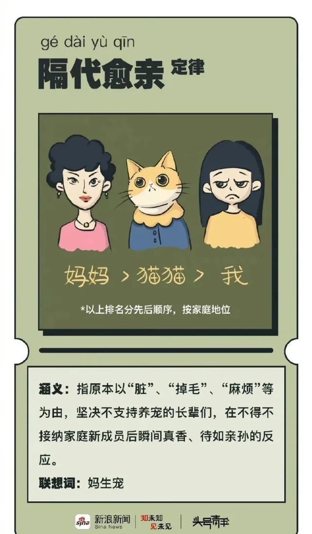 为何年轻人热衷家人式养宠？原因是这