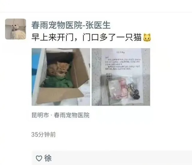 一只受伤的小橘，一张小朋友的留言纸，看哭了开门的医生……