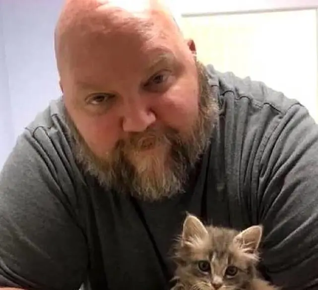 小猫被人扔出车窗，被救时一直跟随恩人，现在活得很幸福