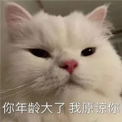 表情包：偷心盗贼不请自来