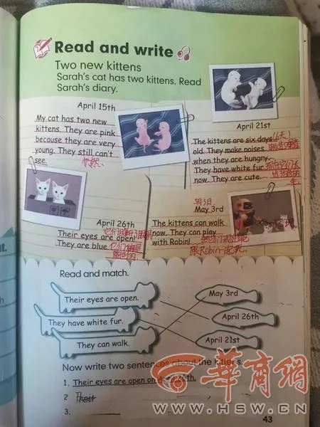 西安小学生称课本上小猫出生过程和自己观察的不同 人民教育出版社回应