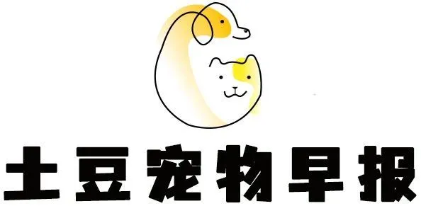 土豆宠物早报 第2022-06-06期
