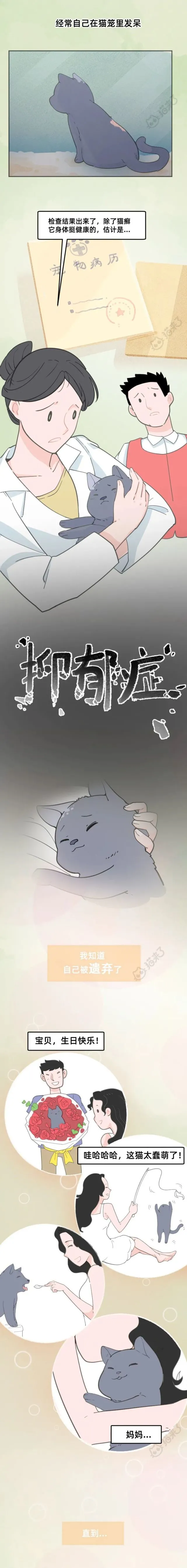 猫被遗弃后，知不知道铲屎官不要它了？