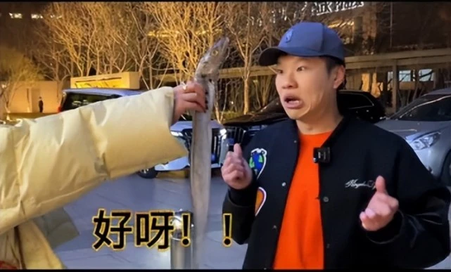 靠啃菜叶子火速圈粉，豚鼠头子猫一杯到底是谁？