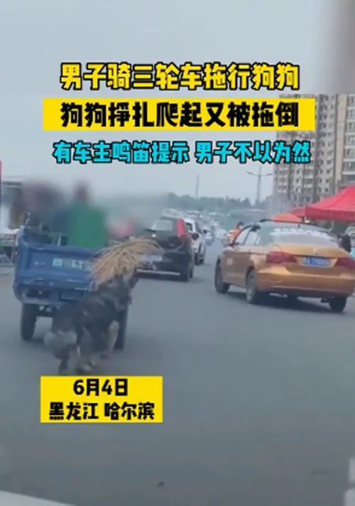 男子骑三轮车拖行狗狗，汪的身上被磨出了血：配当主人吗？