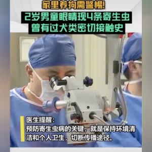 土豆宠物早报 第2022-06-07期