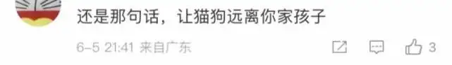2岁男童眼里有4条寄生虫，是因与犬类密切接触？养宠和养娃冲突吗？真相是