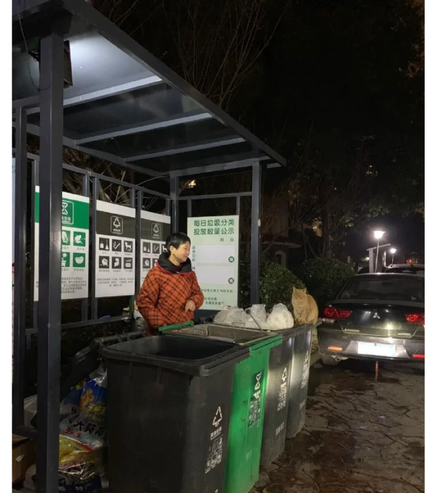 阿姨在做垃圾分类的工作，一只橘猫总是陪着她上班，真是温暖呀！