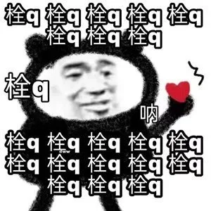 表情包｜没有人可以拒绝熊猫头！