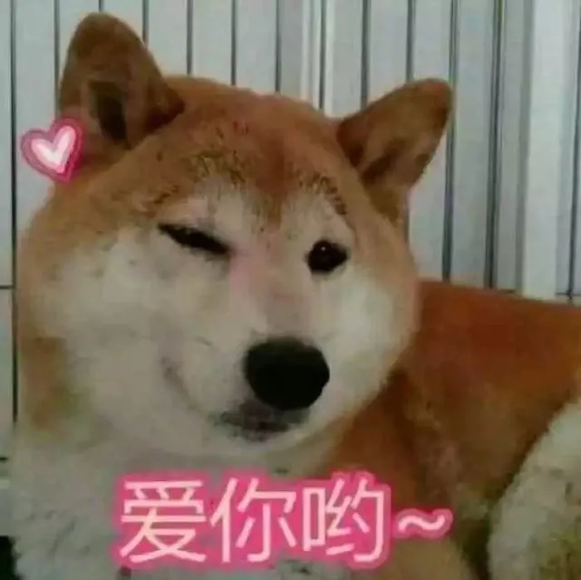 【创城进行时】遛狗栓绳，文明养犬的重要一步！