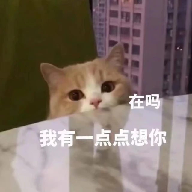 可爱猫咪表情包