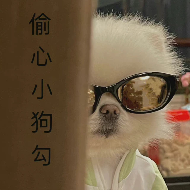 背景图｜可爱萌宠