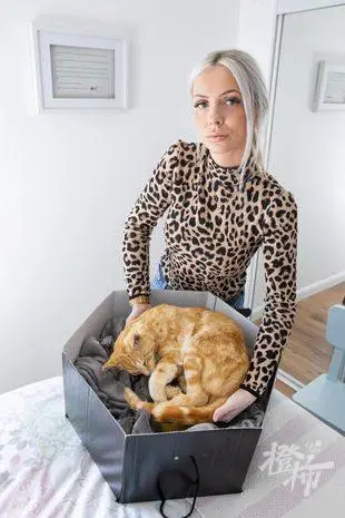 无法接受爱猫突然离世，英国女子花巨资让它“看起来只是睡着了”