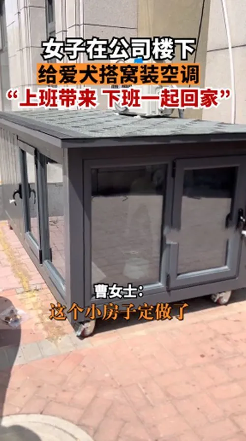 女子在公司楼下，为爱犬搭窝装空调：只希望汪过得舒服一些