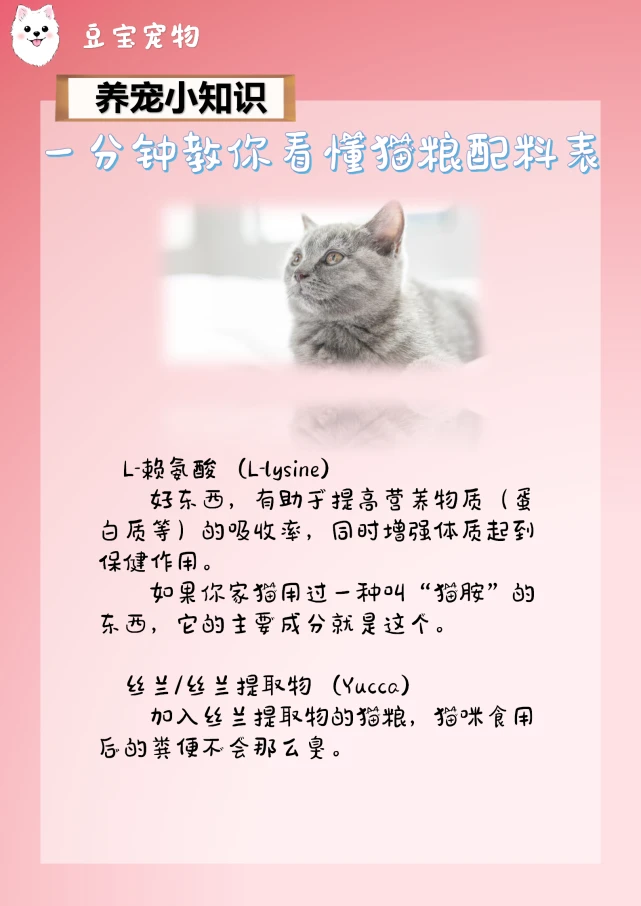 【豆宝小课堂】一分钟教你看懂猫粮的配料表