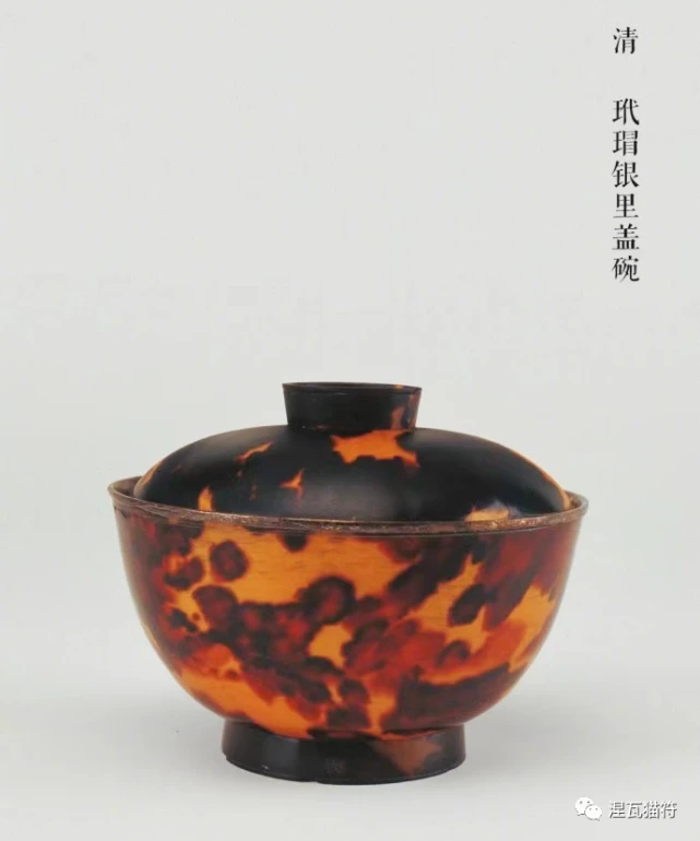 中华田园猫丨玳瑁猫