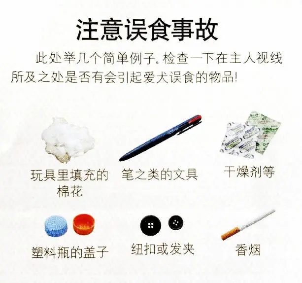 注意家中危险物品，防止柴犬误食事故