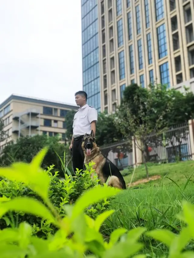 猫咪待领养、大狗做团宠 这个产业园已成流浪动物“避风港”