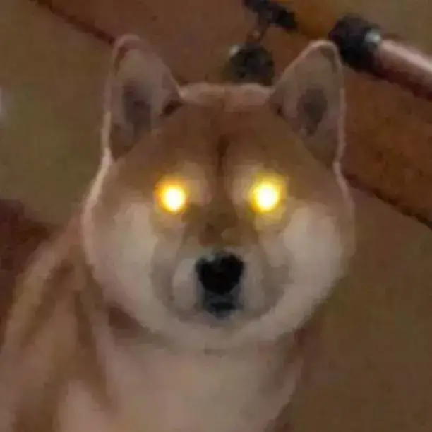 铲屎官回家晚了，结果家里的柴犬就这样看着……这氛围很惊悚！