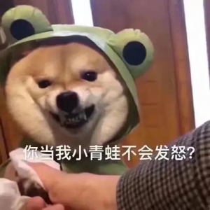 因为不知道你还有没有在生气，所以先派一只小狗来打听一下。