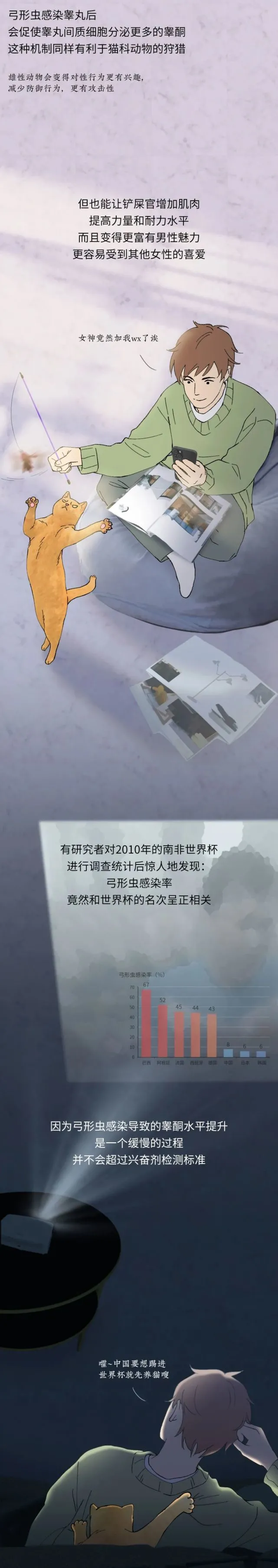 养猫的男生，为什么更容易被女生喜欢？（非常科学）