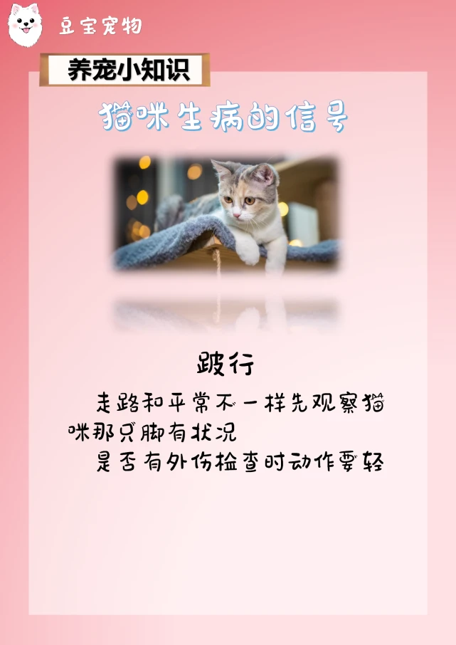 【豆宝小课堂】猫咪生病的信号！你都知道吗？