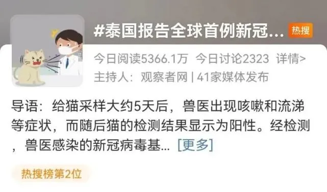 全球首例，猫采样打喷嚏将新冠传给兽医