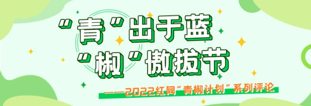 “狗德培训班”噱头下是宠物行业的简单粗暴