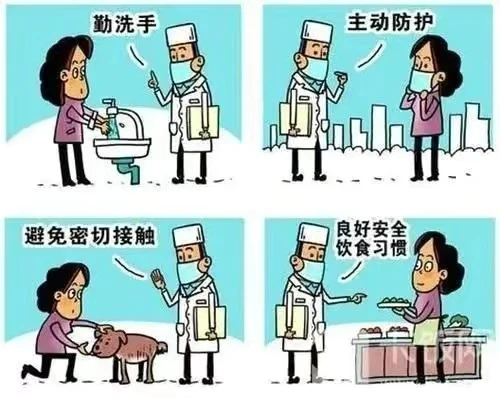全球首例新冠发现人传猫猫传人