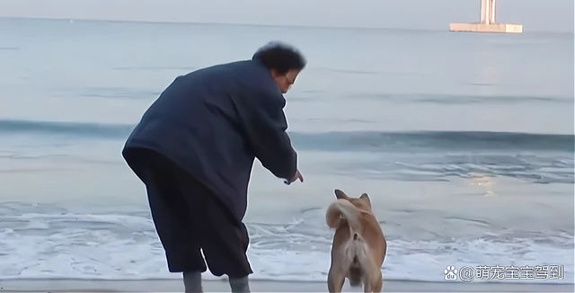 狗狗陪伴老人14年，左眼失明老人却不愿意给它治疗，原因让人泪奔