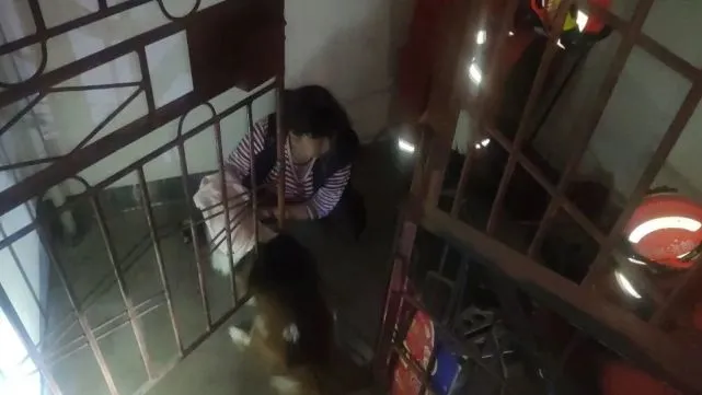 “我家狗狗卡在铁栏杆里了……”消防紧急解救，这是咋进去的？