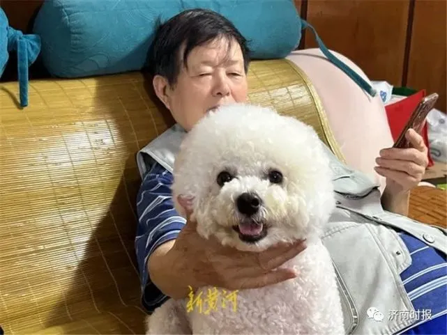 一只上海小狗独自隔离的19天，发生了什么？