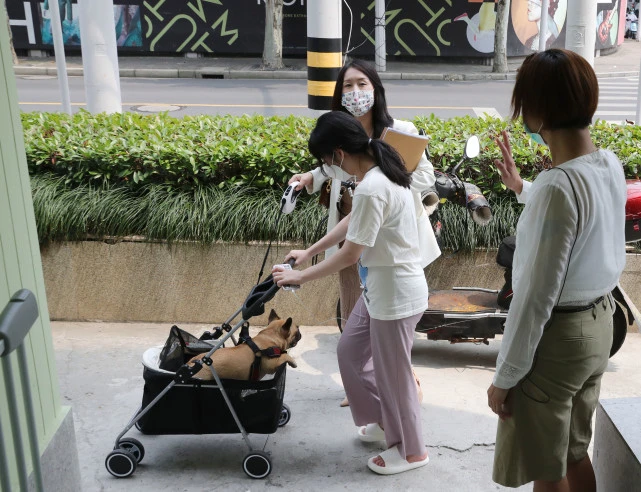 （社会）大厂小店（二）：小姚的新想法