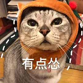 这六件事千万别对猫做，对猫伤害大！
