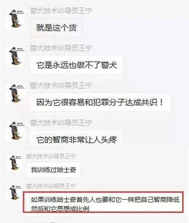 二哈为什么不能当警犬？智商太低，容易和犯罪分子达成共识