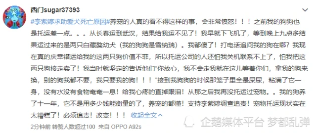 又一起！宠物狗被放货舱高温空运后惨死，女星李紫婷喊话泰航、东航