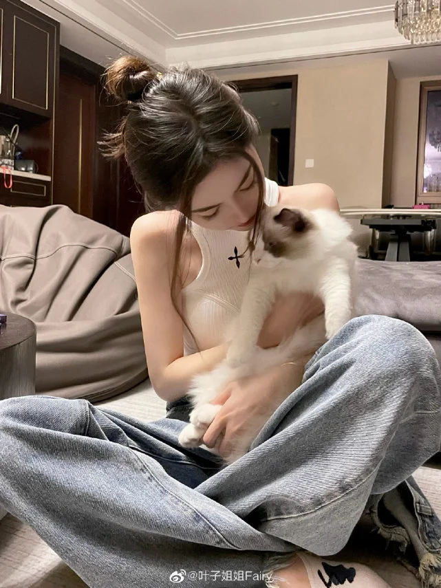 羡慕吧，那只猫咪真幸福
