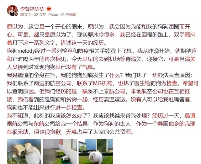 李紫婷托运狗狗没了气息，向航空公司讨要说法无果！网友愤怒不已