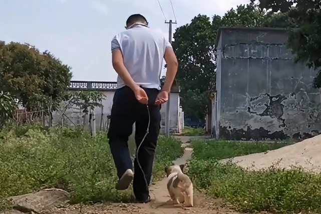 江苏一男子寄养狗狗不愿领回，宠物店：养不起又扔不得，咋办？